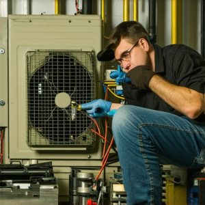 Read more about the article The Case for Replacing Your Blower Motor and Capacitor at Once