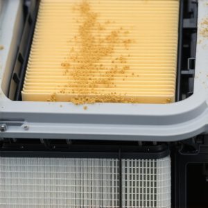 Read more about the article Why Your Blower Motor Just Died After You Forgot to Change the Filter